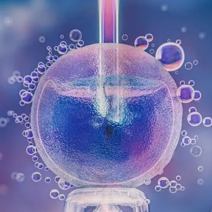 (IVF) İn Vitro Fertilizasyon